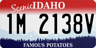 ID license plate 1M2138V