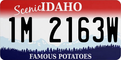 ID license plate 1M2163W