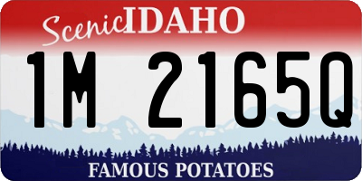 ID license plate 1M2165Q