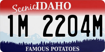ID license plate 1M2204M