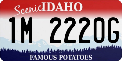 ID license plate 1M2220G