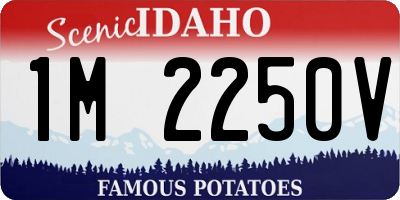 ID license plate 1M2250V