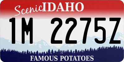 ID license plate 1M2275Z