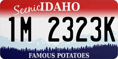 ID license plate 1M2323K
