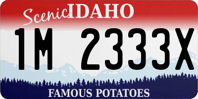 ID license plate 1M2333X