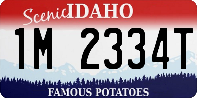 ID license plate 1M2334T