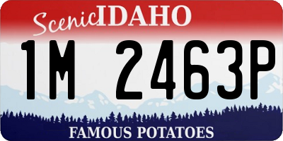 ID license plate 1M2463P