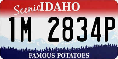 ID license plate 1M2834P