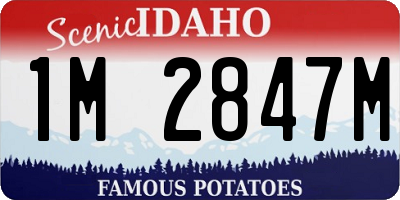 ID license plate 1M2847M