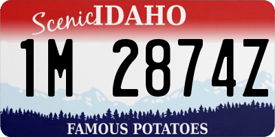 ID license plate 1M2874Z