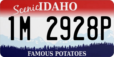 ID license plate 1M2928P