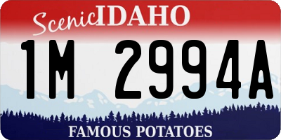 ID license plate 1M2994A