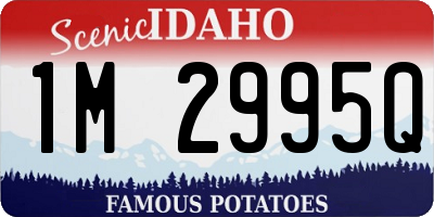 ID license plate 1M2995Q