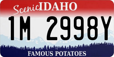 ID license plate 1M2998Y