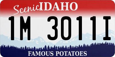 ID license plate 1M3011I