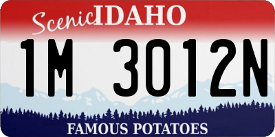 ID license plate 1M3012N