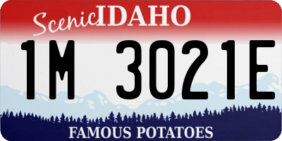 ID license plate 1M3021E