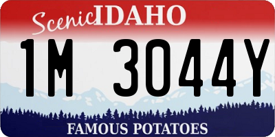 ID license plate 1M3044Y