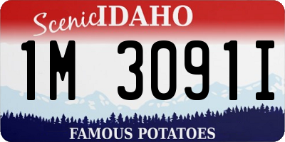 ID license plate 1M3091I