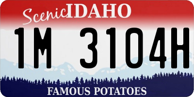 ID license plate 1M3104H