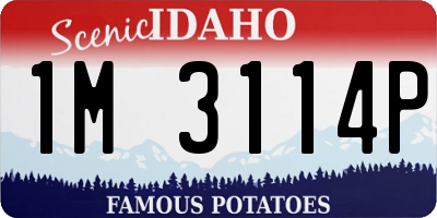 ID license plate 1M3114P