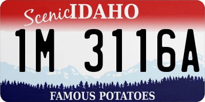 ID license plate 1M3116A