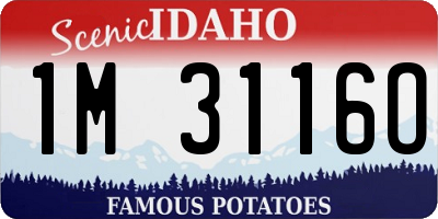 ID license plate 1M3116O