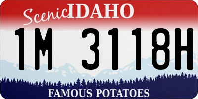 ID license plate 1M3118H