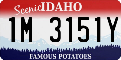 ID license plate 1M3151Y