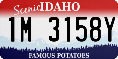 ID license plate 1M3158Y