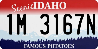ID license plate 1M3167N