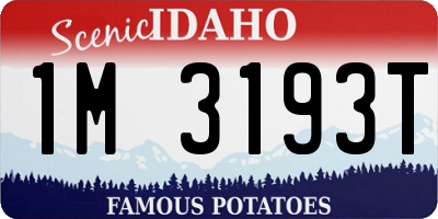 ID license plate 1M3193T