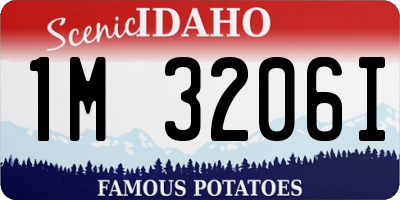 ID license plate 1M3206I