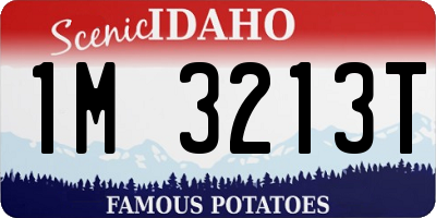 ID license plate 1M3213T