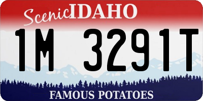 ID license plate 1M3291T