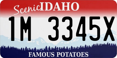 ID license plate 1M3345X