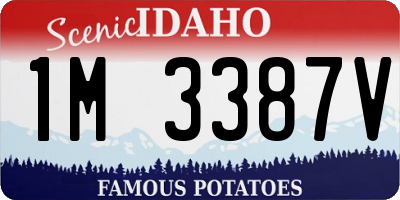 ID license plate 1M3387V