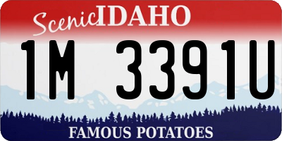 ID license plate 1M3391U