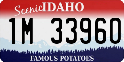 ID license plate 1M3396O