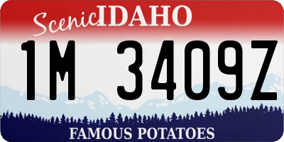 ID license plate 1M3409Z