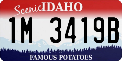 ID license plate 1M3419B