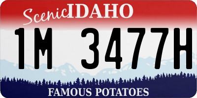 ID license plate 1M3477H