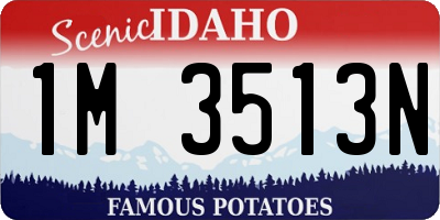 ID license plate 1M3513N