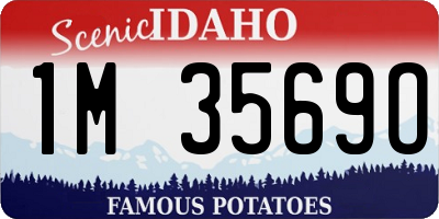 ID license plate 1M3569O