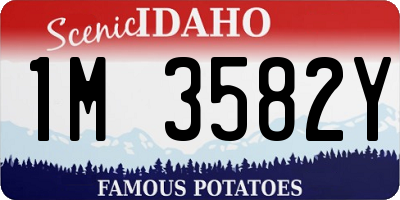 ID license plate 1M3582Y