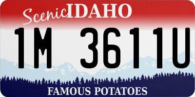 ID license plate 1M3611U