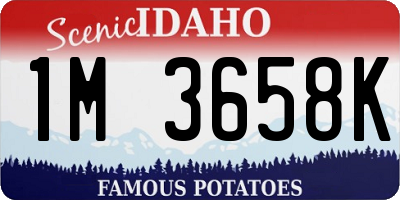 ID license plate 1M3658K
