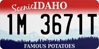 ID license plate 1M3671T