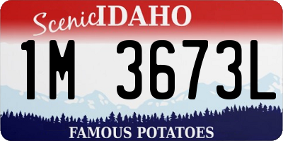 ID license plate 1M3673L