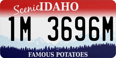 ID license plate 1M3696M